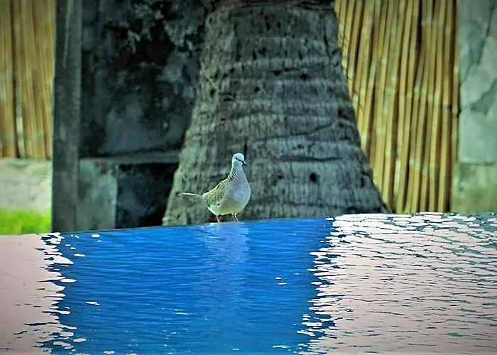 Ferienpark Bali Bhuana 3*
